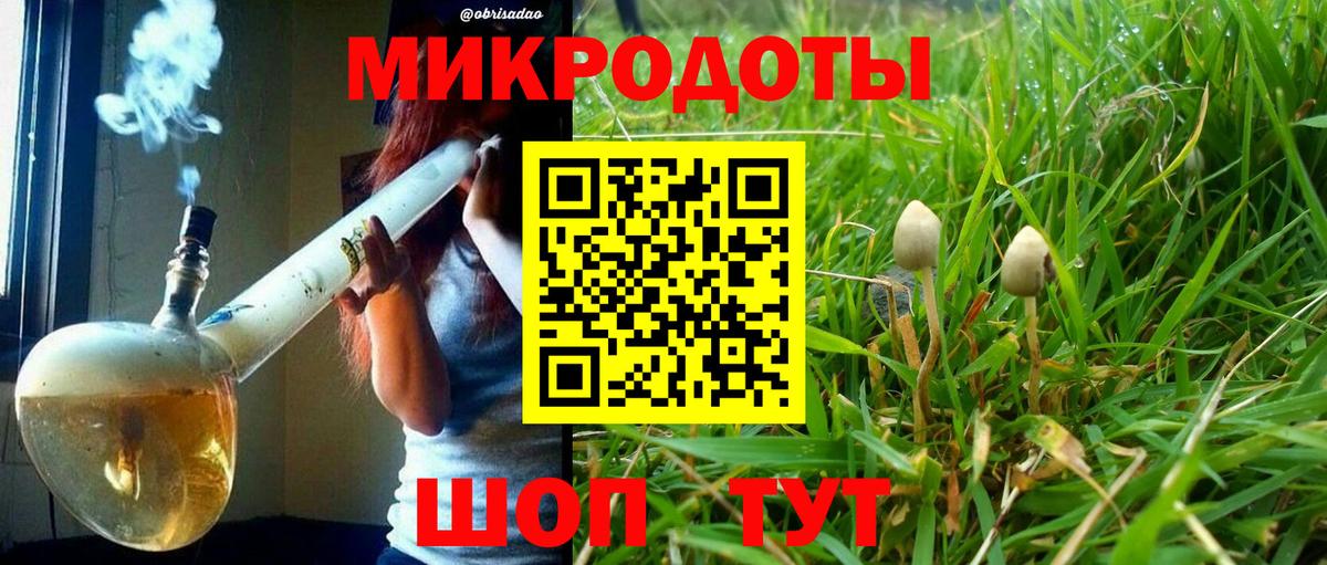 Пугачёв  Галлюциногенные грибы ЛСД  Вход с VPN  Галлюциногенные грибы Magic Shrooms 