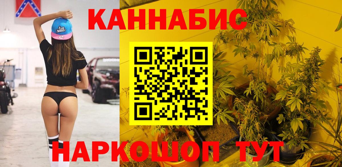 Бошки Шишки план Пугачёв